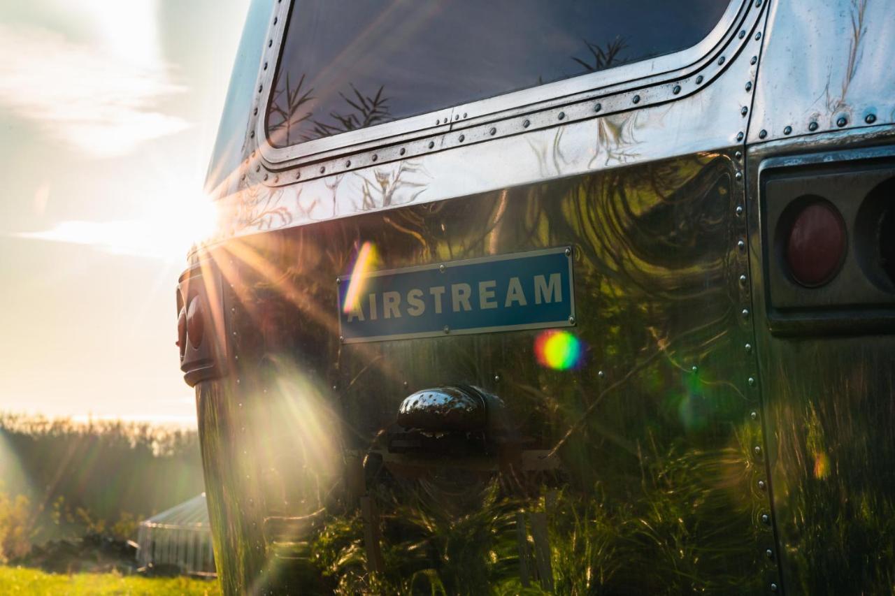 Silver Airstream Glamping & Rental Chichester Exterior foto